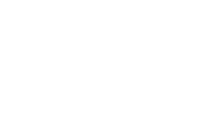 The Wise
